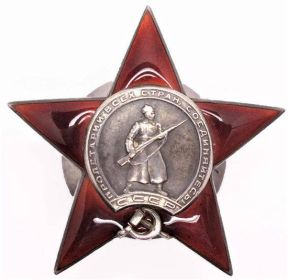 орден Красного знамени, медаль за Отвагу, медаль за освобождении Германии