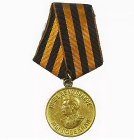 Медаль «За победу над Германией в Великой Отечественной войне 1941–1945 гг.»