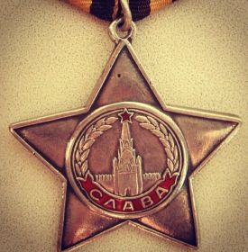 Орден Славы lll степени, Медаль за оборону Ленинграда, Медаль за отвагу.