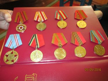 Медали "За боевые заслуги", "За победу над Японией", "За победу над Германией", орден Отечественной войны ii степени.