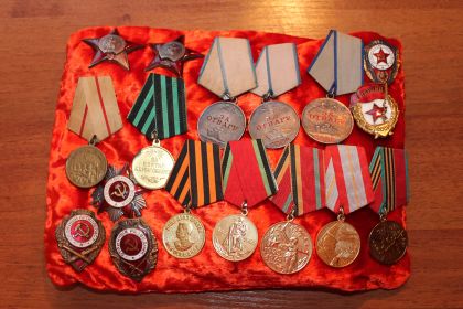 Два Ордена Красной Звезды, три медали "За отвагу"