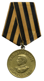 Медаль «За победу над Германией в Великой Отечественной войне 1941-1945 гг.»
