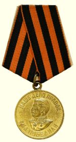 Медаль "За победу над Германией в Великой Отечественной войне"