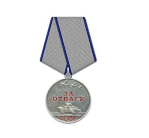 Медаль «за оборону Москвы», медаль «за победу над Германией в Великий Отечественной Войне», медаль «за отвагу», Орден Красной Звезды
