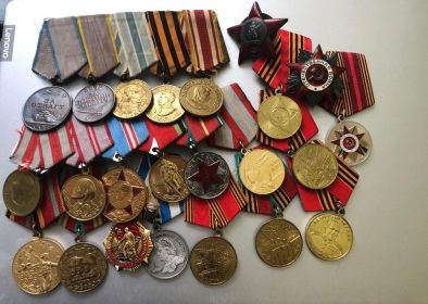 «медали «За отвагу», «За боевые заслуги», «за оборону советского Заполярья», «за победу над Германией»...