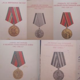 ордена Славы 3 степени, Красной Звезды, Отечественной войны 1 и 2 степени, медали