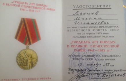Медаль "Тридцать лет победы а Вов 1941-1945гг."
