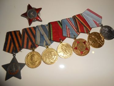 Орден красной звезды , орден Славы 3- й ст, медаль За победу над Германией