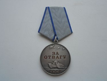 Медаль за Отвагу, медаль За Победу над Германией