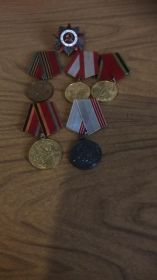 Орден Отечественной войны 'll степени, медали " За Отвагу", " За взятие Берлина"