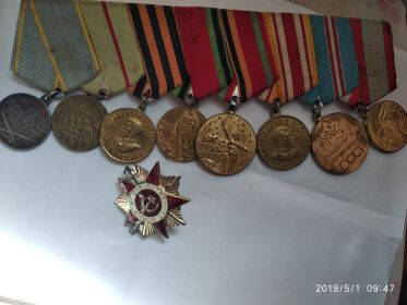«За боевые заслуги», «За оборону Сталинграда», «За победу над Японией», орденом Отечественной войны и юбилейные медали.