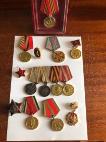 Орден Красной  Звезды; 2 медали за Боевые  Заслуги;  За Победу Над Германией; остальные медали на изображении.