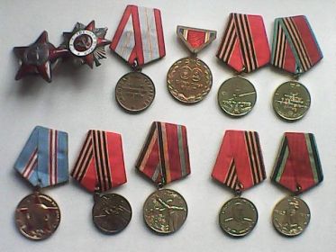 Ордин Красной Звезды, Ордин Отечественной войны 2й степени,Медаль за победу над Германией и др.