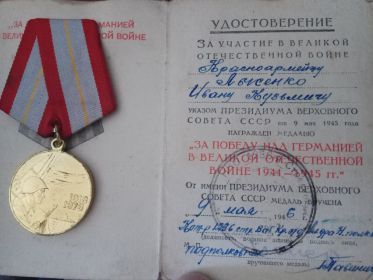 Медаль за Победу над Германией в ВОВ