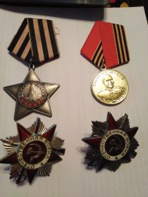 Орден Славы 3 степени, Орден отечественной войны 2 степени, медали