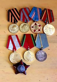 - Медаль «За победу над Германией в Великой Отечественной войне 19411945 гг.»; - Медаль «За боевые заслуги»; - Орден Красной Звезды.