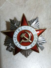 Награжден Орденом Отечественной войны второй степени.
