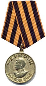 Медаль за победу над германией