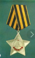 Орден Славы 3 ст. Медали: За отвагу, За оборону Заполярья (дважды),За победу над Германией, юбилейные.