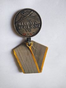 Медаль "За боевые заслуги" № 3098859