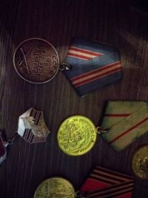 Орден Отечественной войны 1 степен Орден Отечественной войны 2 степени Медаль «За боевые заслуги»Медаль «За оборону Сталинграда»