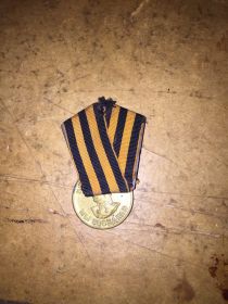 медаль "За победу над Германий в ВОв 1941 - 1945гг."