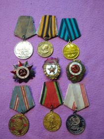Награжден Орденом Отечественной Войны 2степени, медалью "За Отвагу", За Победу над Германией, За взятие Кенигсберга