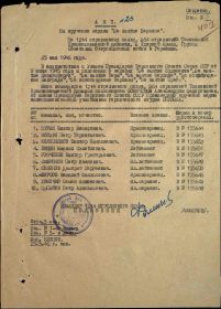 Медаль За Победу над Германией в Великой Отечественной войне 1941-45гг