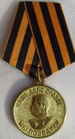 Медалью «За победу над Германией»,