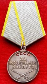 Медаль «За боевые заслуги». 266 сп 93 сд 2 УкрФ  Дата подвига: 01.10.1943-18.10.1943