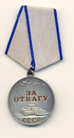 Медаль за отвагу, Орден Отечественной Войны 2ой степени, Орден Отечественной Войны 1ой степени-посмерно