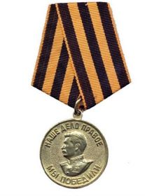 Медаль за победу над германией