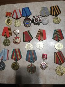 медаль за боевые заслуги ,орден Отечественной войны ||степени
