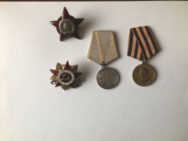 Орден Красной Звезды, Орден Отечественной войны 1-ой степени, Медаль за победу над Германией, Медаль за боевые заслуги и другие