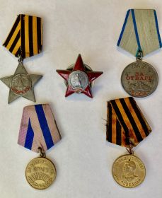 орден «Красной Звёзды», орден Славы 3-й степени, медаль «За Отвагу», медаль «За освобождение Праги», медаль «За Победу над Германией»