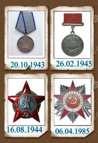 Орден Красной Звезды, Медаль «За отвагу», Медаль «За боевые заслуги», Орден Отечественной войны II степени