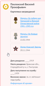 медаль "За боевые заслуги", Орден Красной Звезды, медаль "За победу над Германией в Великой Отечественной войне 1941-1945 гг."