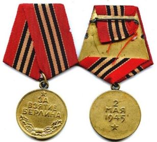 орден Великой Отечественной войны II степени, медаль «За оборону Сталинграда», медаль за взятие Берлина, медаль за победу над Германией, медаль Жукова.