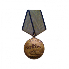 Награжден медалью «За отвагу"