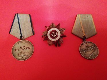 Ордена Отечественной войны 1 и 2 степени; медали: «За боевые заслуги», «За отвагу».