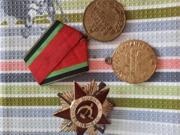 Медали " За взятие Берлина", " За победу над Германией в Великой Отечественной войне в 1941-1945гг.", "Орден Отечественной войны II степени"й