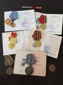 Медаль за оборону Сталинграда, медаль за победу над японией, медаль за отвагу
