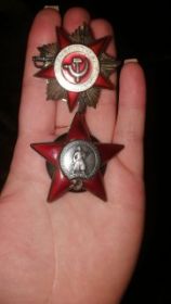 орден красной звезды,орден отечественной войны 1 степени,юбилейные медали и трудовые награды