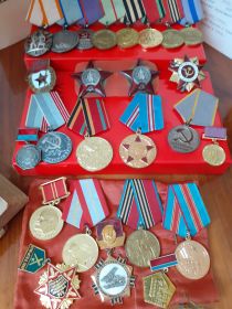 2 Ордена Красной Звезды, Медали за освобождение Сталинграда.Праги; За Победу над Германией; За взятие Берлина