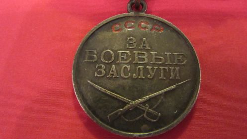 Медаль за боевые заслуги