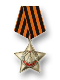 Орден Славы 3 степени. Медаль за отвагу.