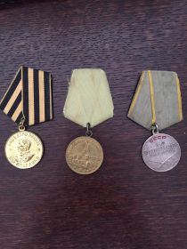 Медали: За оборону Ленинграда,За боевые заслуги,За Победу над Германией