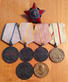Орден Красной звезды.Медали: За отвагу,За боевые заслуги,За оборону Сталинграда,За Победу над Германией