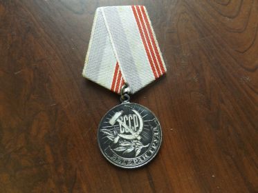 Послевоенные заслуги: медаль "Ветеран труда"