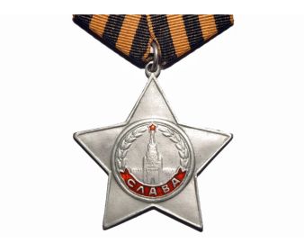 Орден Славы III степени, Орден Отечественной войны II степени, Медаль «За победу над Германией в Великой Отечественной войне 1941–1945 гг.»